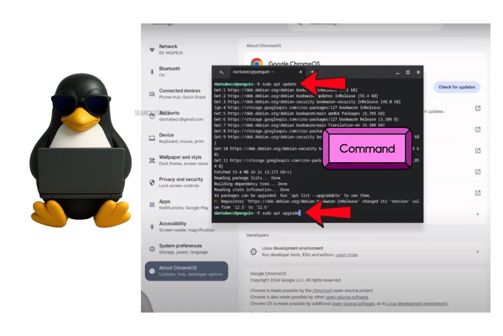 update-and-upgrade-command-install-linux-to-chromebook
